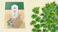 【行業(yè)資訊】國(guó)內(nèi)首部艾草專著《南陽(yáng)艾》，在南陽(yáng)新書(shū)首發(fā)！